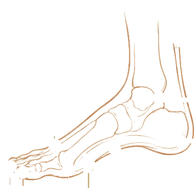 A line drawing of a foot showing the common pain points